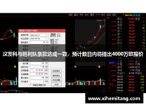 汉茨科与胜利队条款达成一致，预计数日内将提出4000万欧报价